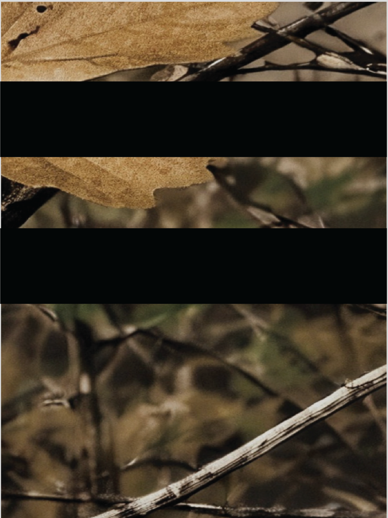 Backwoods Camo Muni