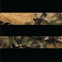 Black + Backwoods Camo Stripes