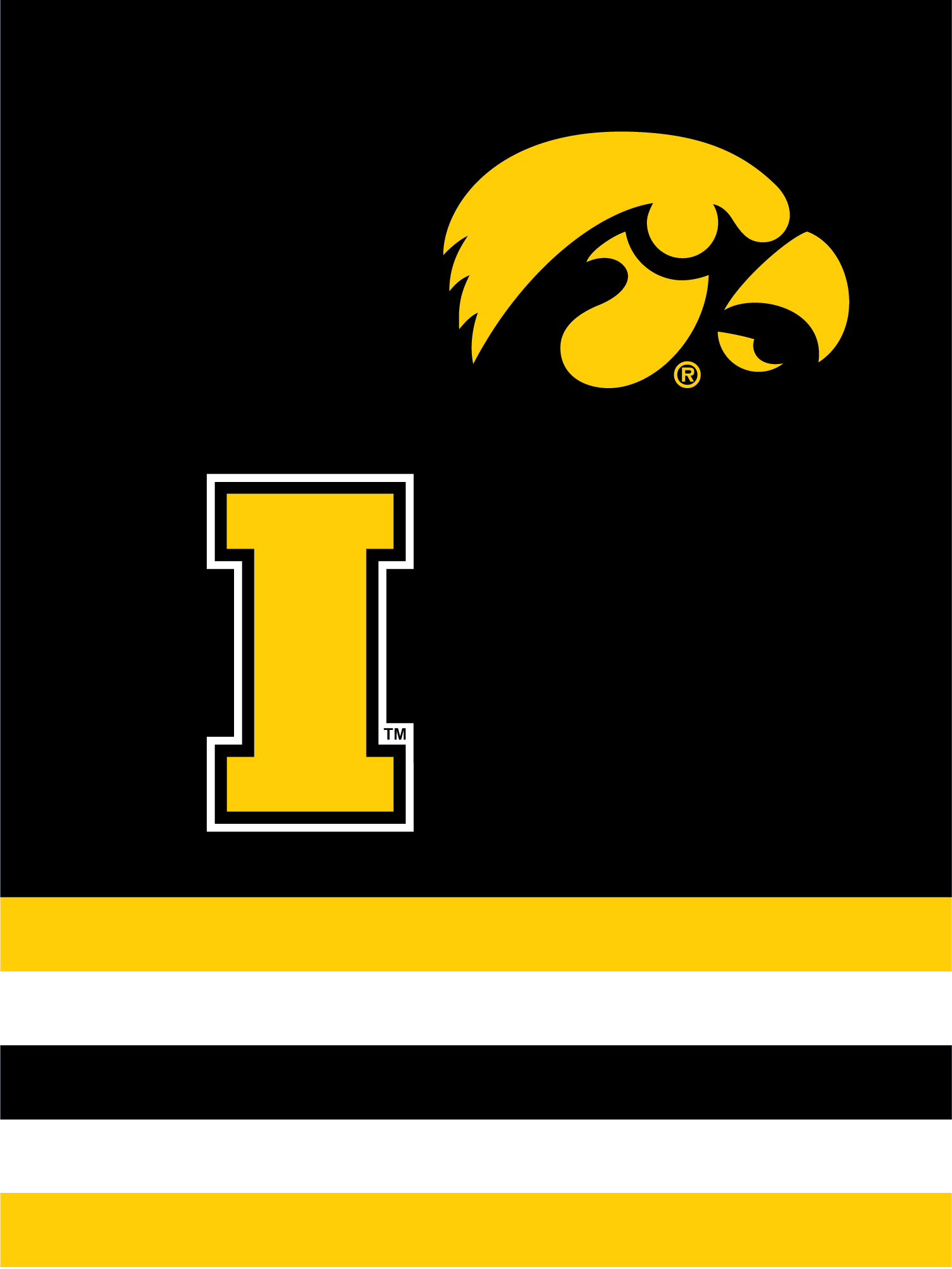 The University Of Iowa