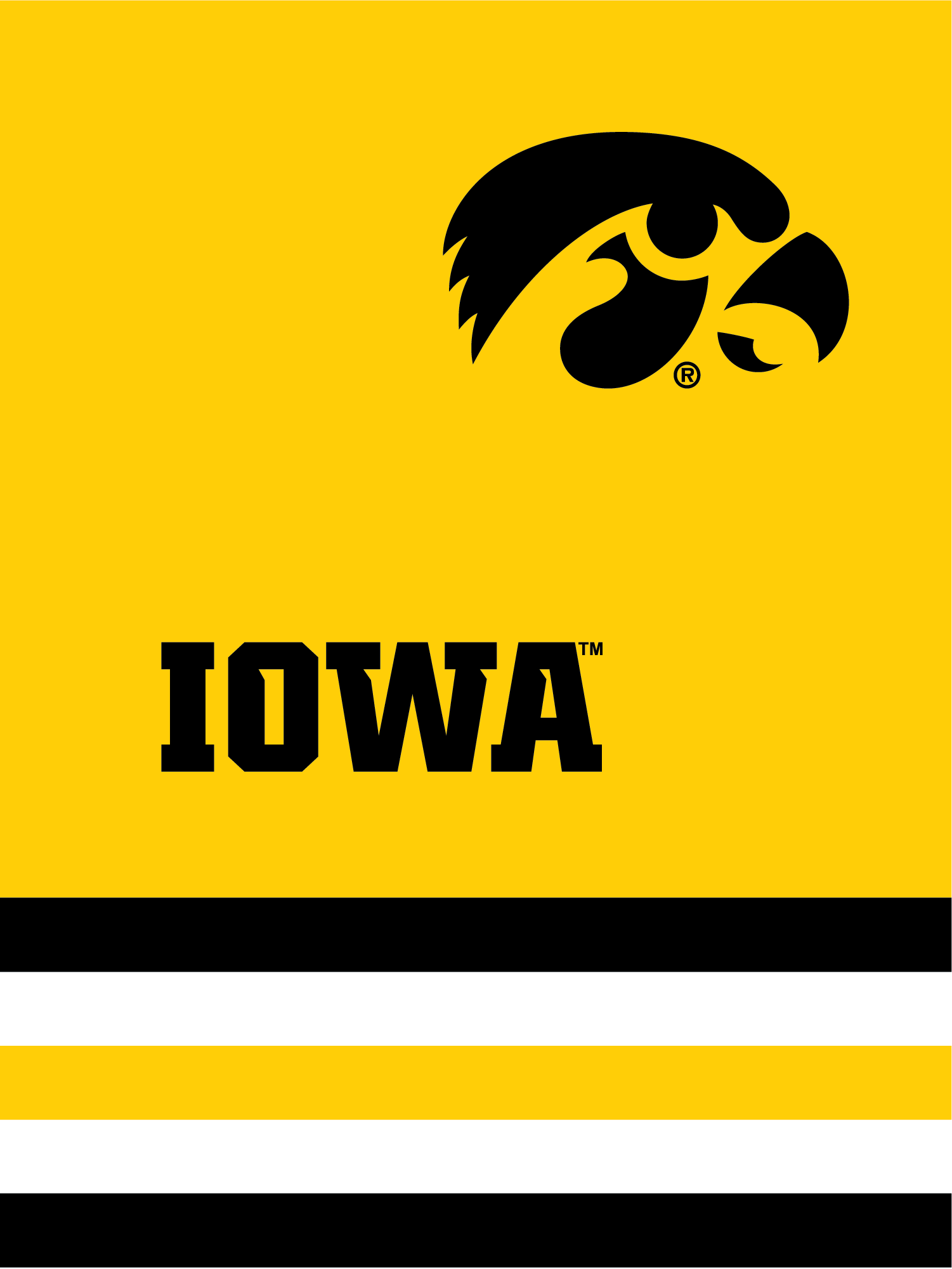 The University Of Iowa