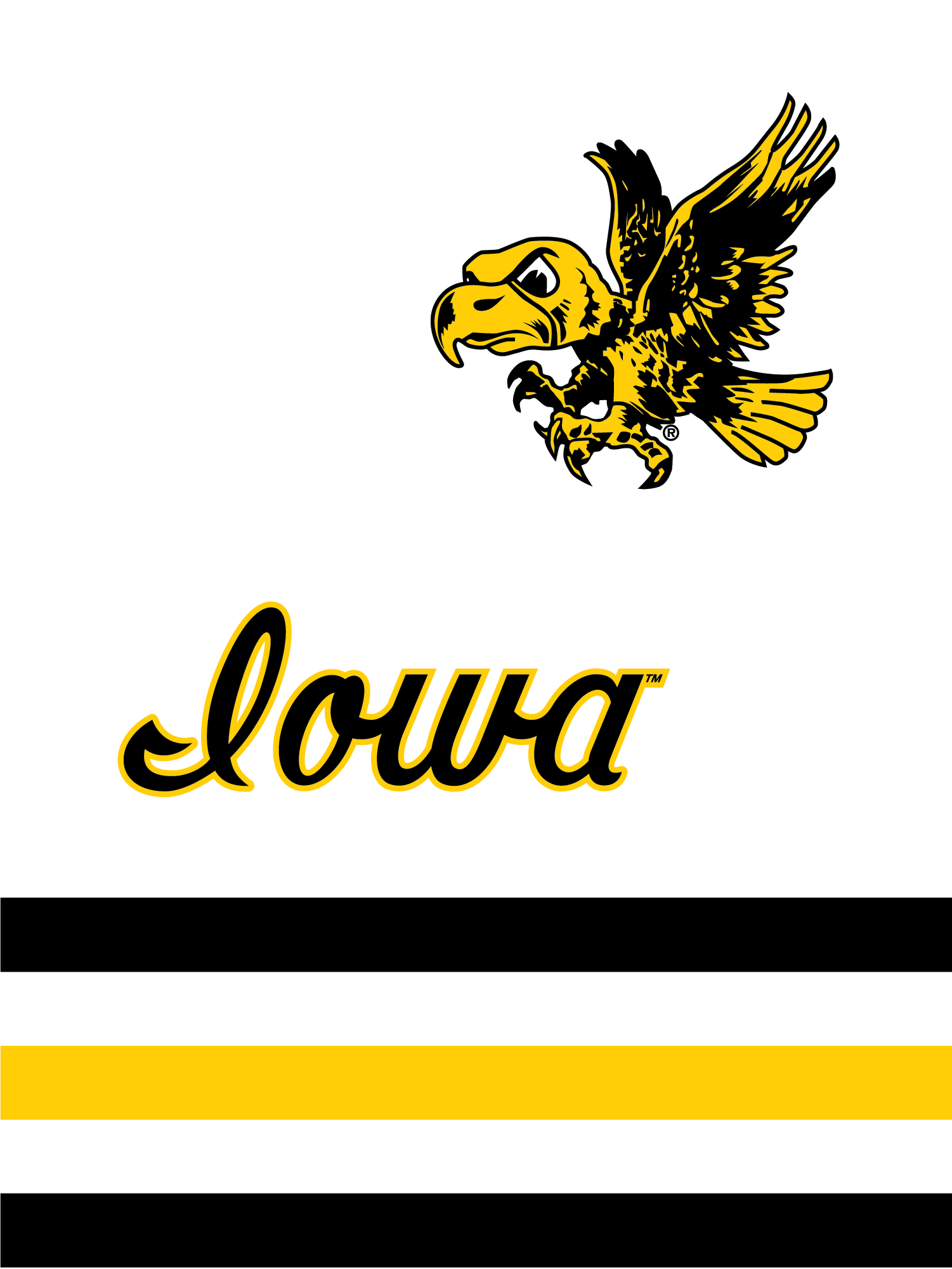 The University Of Iowa