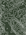 Hunter Green + White